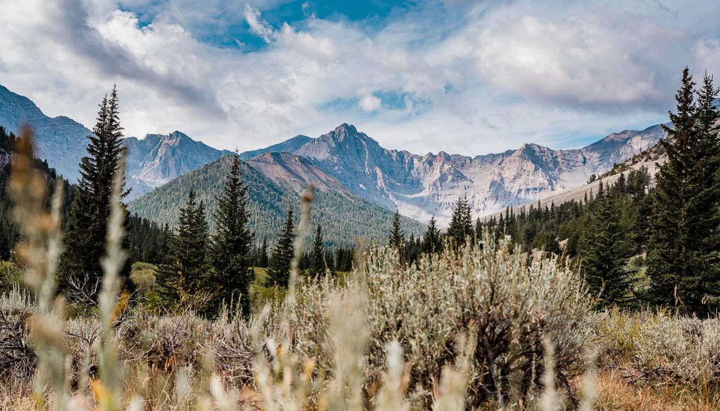 Rugged Apparel for the Hunt